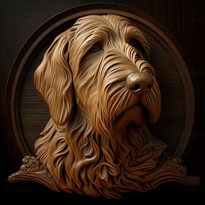 Animals Otterhound dog